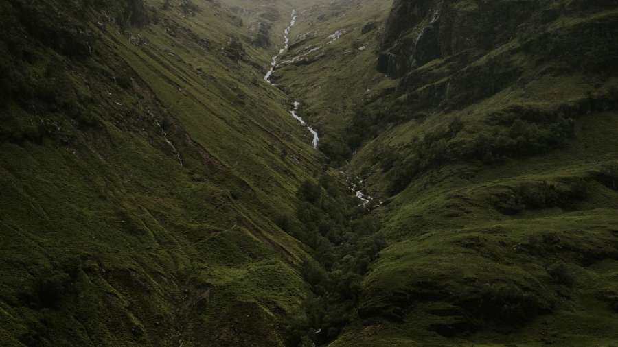nature